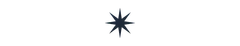 Polygon - 16-point-star